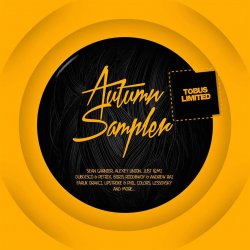 Мұқаба Boris Roodbwoy & Andrew Rai - work (andrew rai original mix)