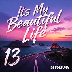 Мұқаба DJ FORTUNA - Its My Beautiful Life 13
