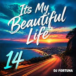 Мұқаба DJ FORTUNA - Its My Beautiful Life 14