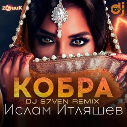 Мұқаба Кобра (DJ S7ven Radio Edit)