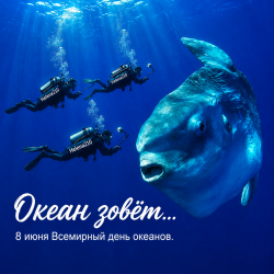 Мұқаба Helena210 - Океан 🌊