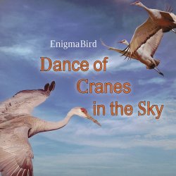 Мұқаба Dance of Cranes in the Sky