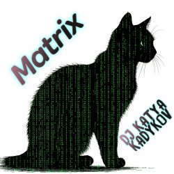Мұқаба DJ Katya Kadykov - Matrix (minatrix_edition)