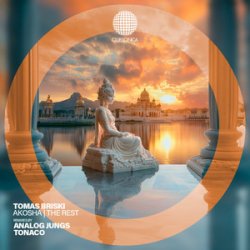 Мұқаба Tomas Briski - Mirrors on the Ceiling