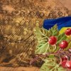Мұқаба Червона калина - Ой служив же я у пана Червона калина - Ой служив же я у пана