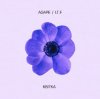 Мұқаба AGAPE - Квітка AGAPE - Квітка