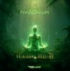 Мұқаба Hydronium - Hydronium Ion (Original Mix) Hydronium - Hydronium Ion (Original Mix)