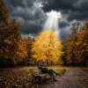 Мұқаба Mincha - Осенний Луч Mincha - Осенний Луч