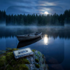 Мұқаба Volteris - Dark Forest Volteris - Dark Forest