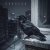 Мұқаба Igor Pumphonia & Anita Lav - Corbeau