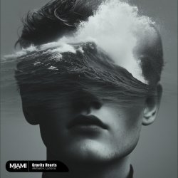 Мұқаба Akmalov, Lynoria - Gravity Hearts