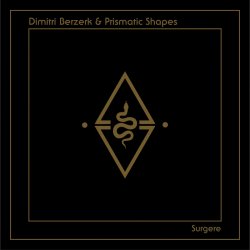 Мұқаба Dimitri Berzerk - Surgere (Mi 3 De 8 Bits Remix)