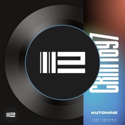 Мұқаба Igor Pumphonia & Anita Lav - Automne