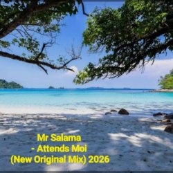 Мұқаба Mr Salama - Attends Moi (New Original Mix) 2026​