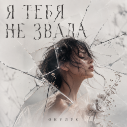 Мұқаба Я ТЕБЯ НЕ ЗВАЛА..