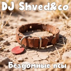 Мұқаба DJ Shved&co - Бездомные псы