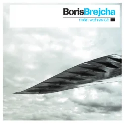 Мұқаба Boris Brejcha - Flying Bird