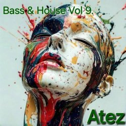 Мұқаба Bass & House Vol 9.
