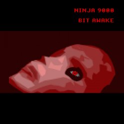 Мұқаба Ninja 9000 - Raster Curtains