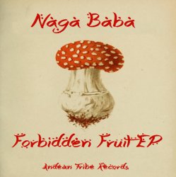 Мұқаба Naga Baba - The Prophet