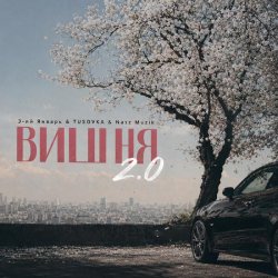 Мұқаба Вишня (2.0 TUSOVKA & Nazz Muzik Remix)