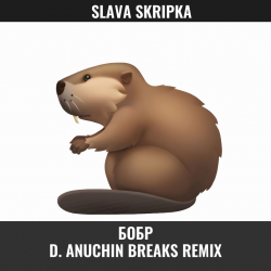 Мұқаба Бобр (D. Anuchin Breaks Radio Edit)