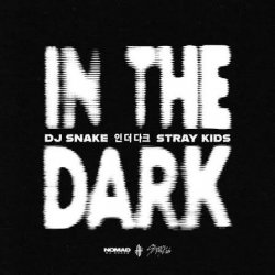 Мұқаба DJ Snake & Stray Kids - In The Dark
