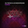 Мұқаба DJ TOCHO & Schizoofr3nik - Express DJ TOCHO & Schizoofr3nik - Express