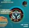 Мұқаба Yin-Yang - Кома Yin-Yang - Кома