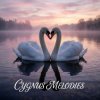 Мұқаба Vasilii CECEGOV & Atom - Cygnus Melodies Vasilii CECEGOV & Atom - Cygnus Melodies