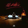 Мұқаба DJ Physical - Wild Stepper DJ Physical - Wild Stepper