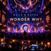 Мұқаба Duck & Rufus - Wonder Why Duck & Rufus - Wonder Why