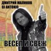 Мұқаба Дмитрий Маликов, Dj Antonio - Танцуй моя любовь Дмитрий Маликов, Dj Antonio - Танцуй моя любовь