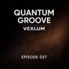 Мұқаба Vexlum - Quantum Groove 037 Vexlum - Quantum Groove 037