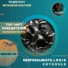 Мұқаба DesposalBeats, L B R I S - crysouls DesposalBeats, L B R I S - crysouls