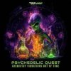 Pochette Psychedelic Quest - Psychotherapy Psychedelic Quest - Psychotherapy