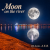 Pochette DJ-Lion- Л. Е. В. - Moon on the river