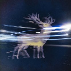 Мұқаба Albedo Waves - Le Feu Sauvage