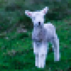 Мұқаба Julia Wolf - lamb (feat. Kellin Quinn)