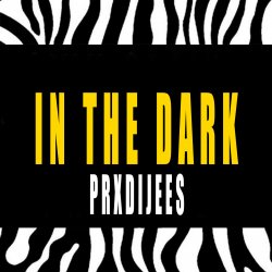 Мұқаба IN THE DARK