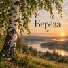 Cover Апро - Берёза Апро - Берёза