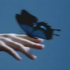 Мұқаба Lxst Wxrld, Mxnsxt - Butterflies in the Stomach Lxst Wxrld, Mxnsxt - Butterflies in the Stomach