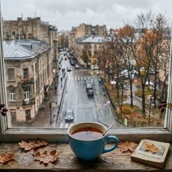 Обкладинка Blue cup