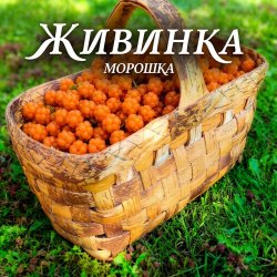 Pochette Морошка
