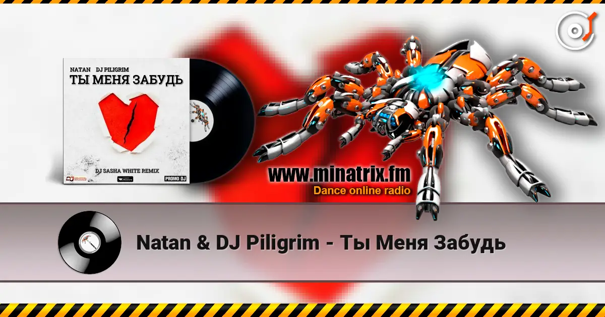 Natan & DJ Piligrim - Ты Меня Забудь жоғары сапада онлайн тыңдау | Minatrix.FM