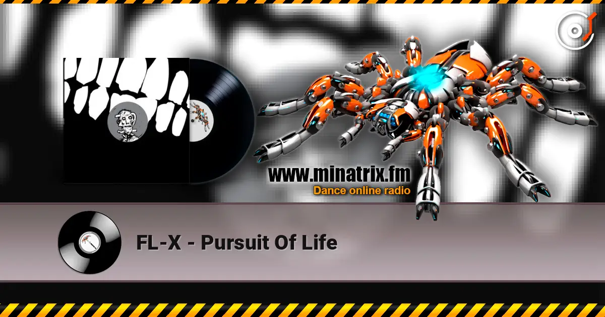 FL-X - Pursuit Of Life жоғары сапада онлайн тыңдау | Minatrix.FM