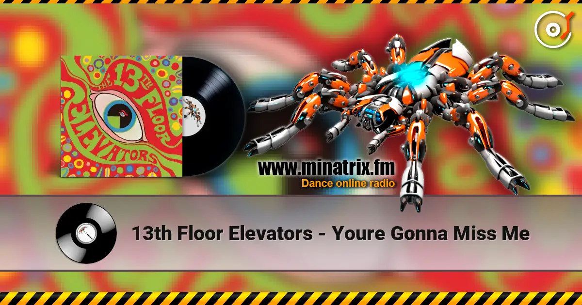 13th Floor Elevators - Youre Gonna Miss Me жоғары сапада онлайн тыңдау | Minatrix.FM