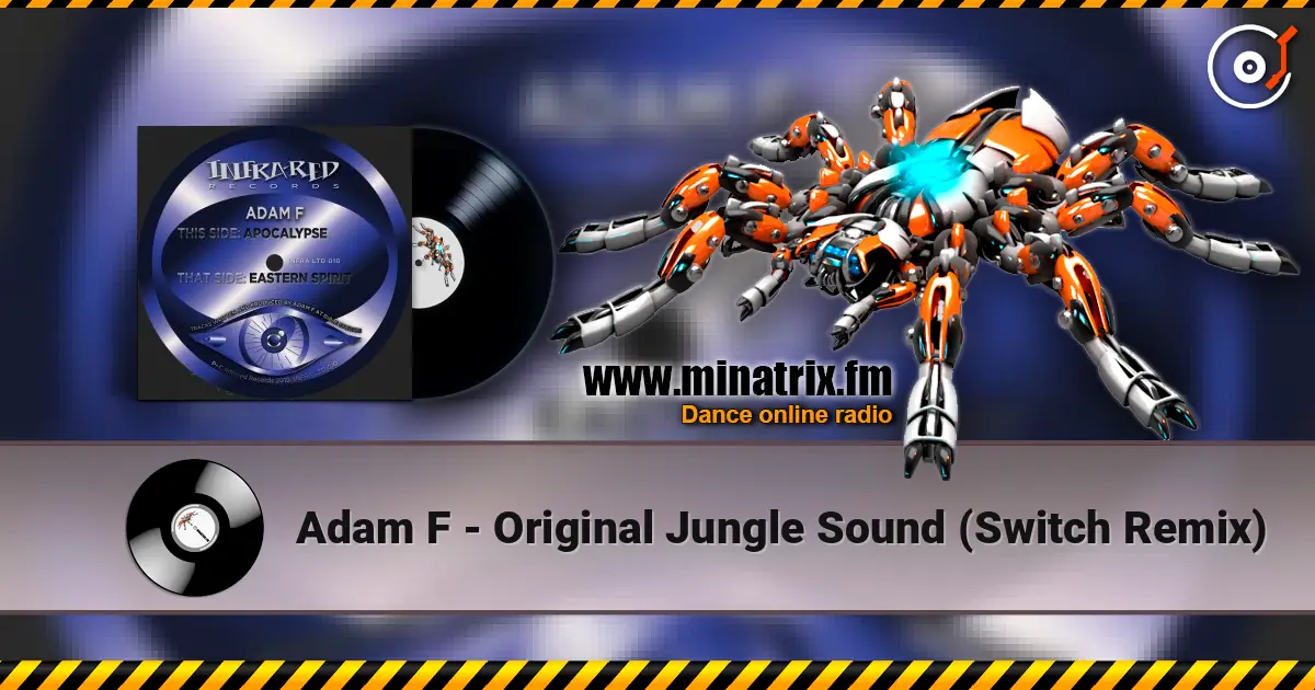 Adam F - Original Jungle Sound (Switch Remix) жоғары сапада онлайн тыңдау | Minatrix.FM