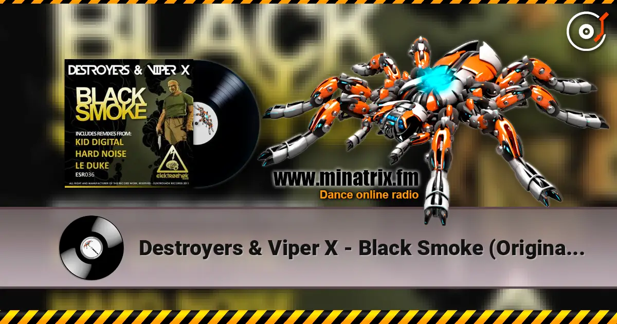 Destroyers & Viper X - Black Smoke (Original Mix) жоғары сапада онлайн тыңдау | Minatrix.FM