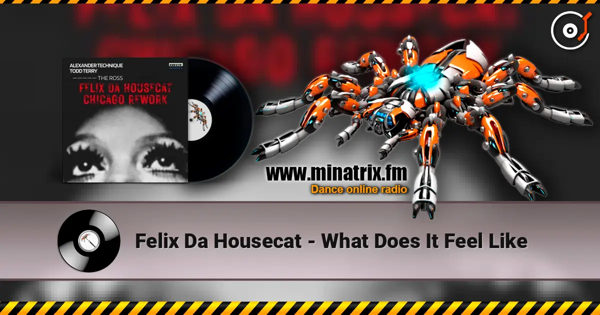 Felix Da Housecat - What Does It Feel Like 高品质在线收听 | Minatrix.FM
